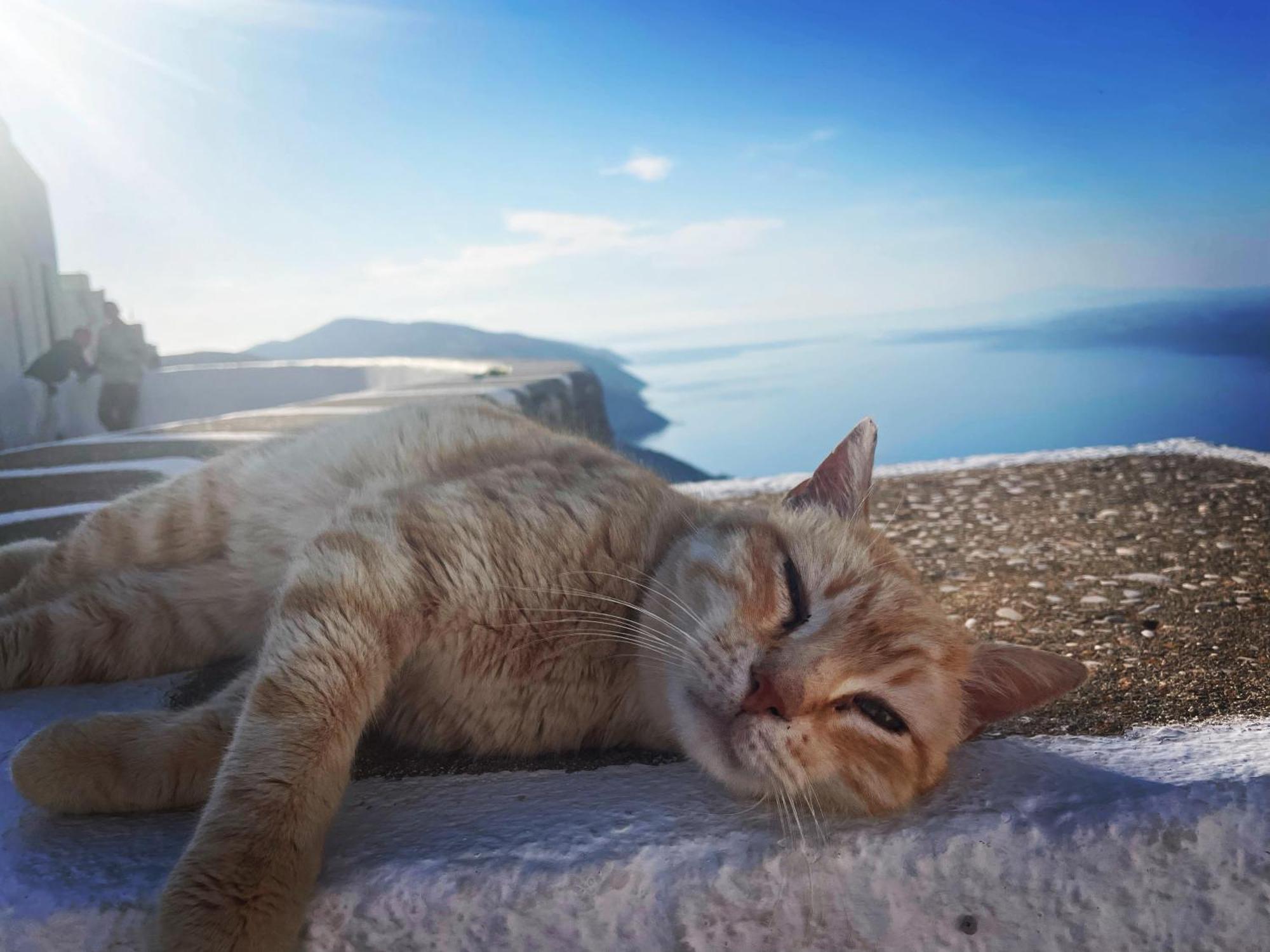 Folegandros-Cliffhouse Villa Dış mekan fotoğraf