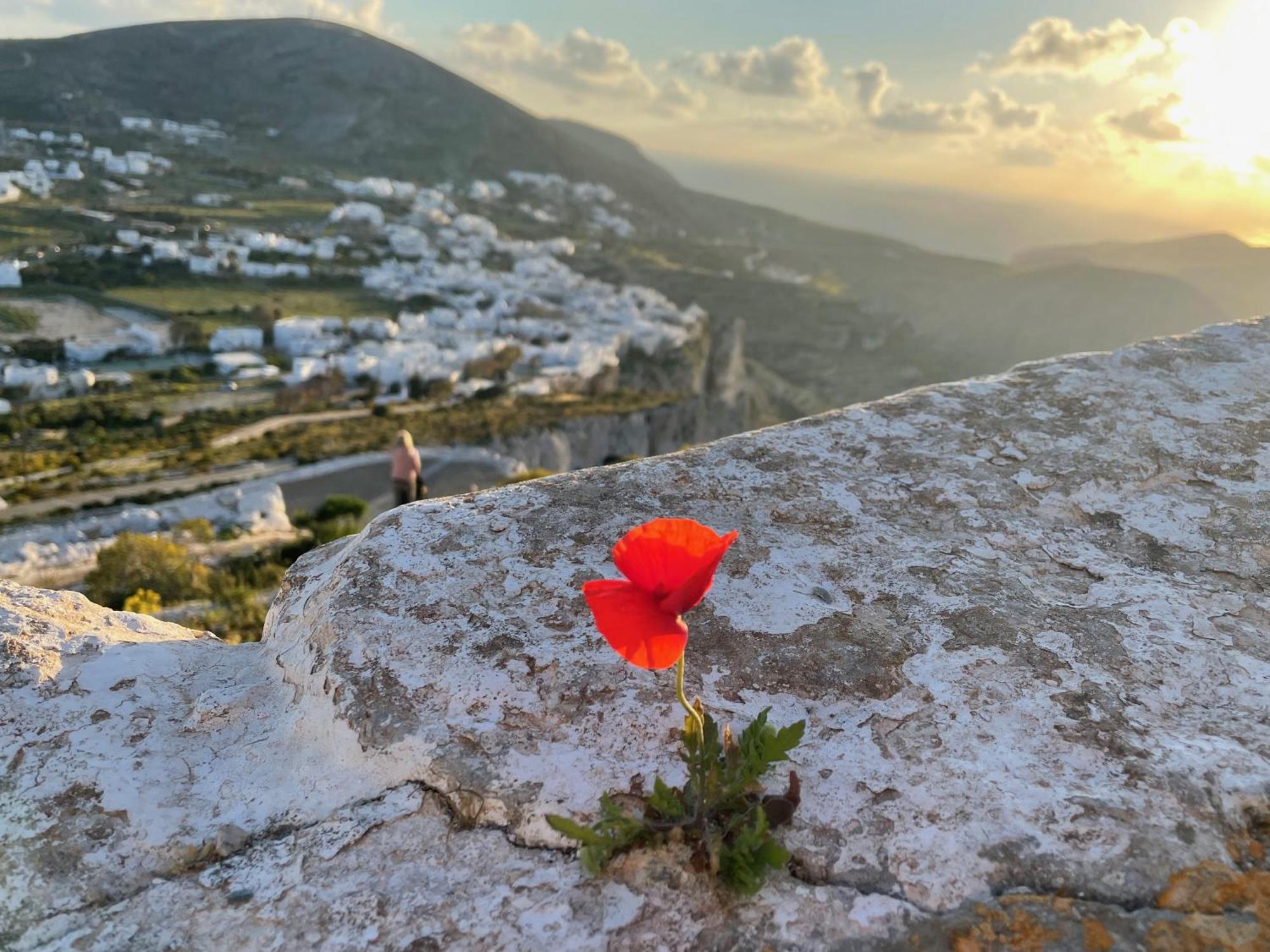Folegandros-Cliffhouse Villa Dış mekan fotoğraf