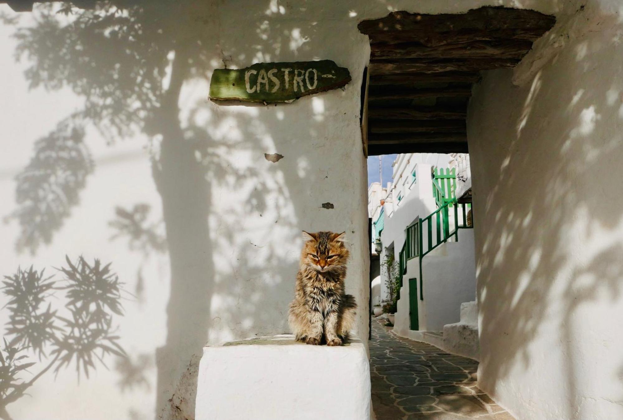 Folegandros-Cliffhouse Villa Dış mekan fotoğraf